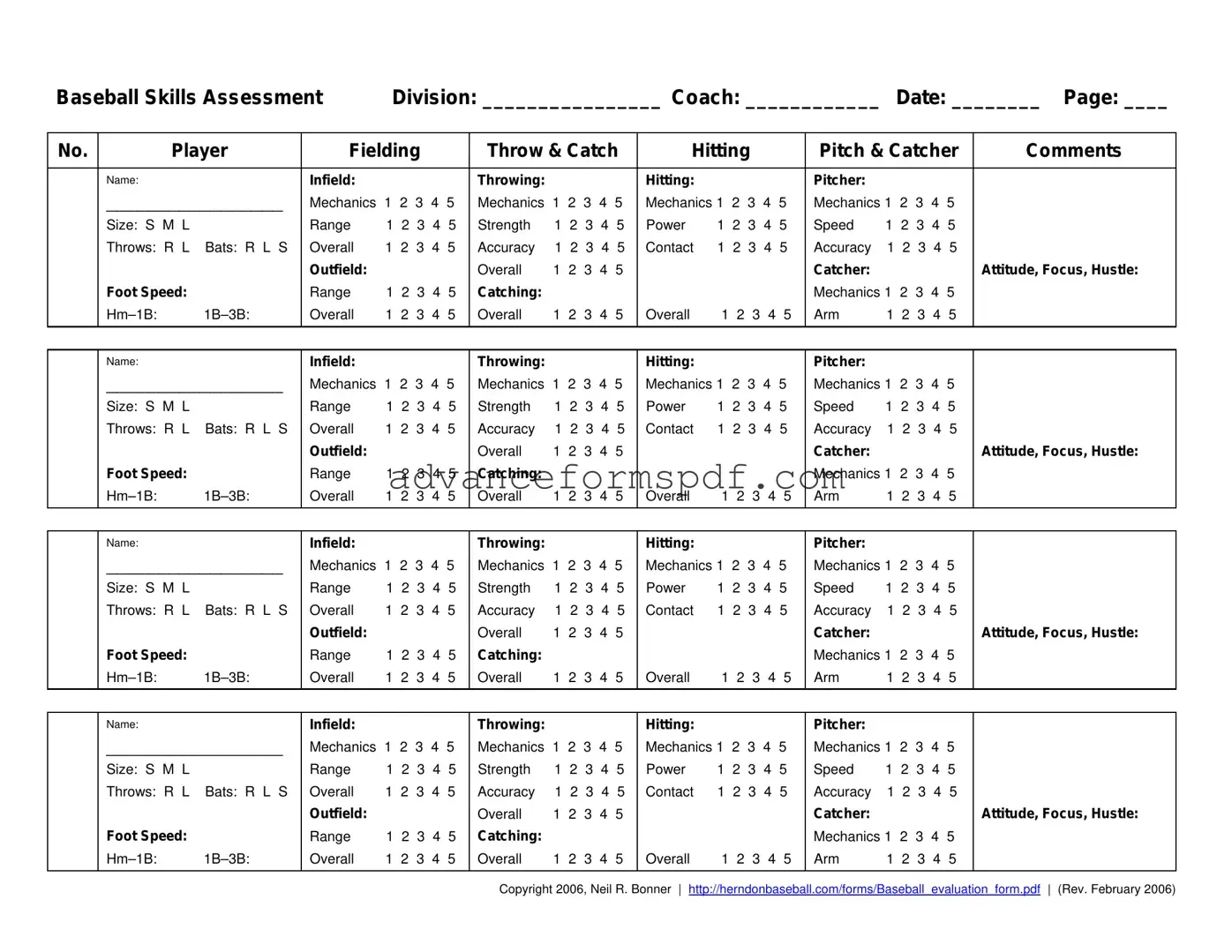 Download Baseball Assessment Form in PDF