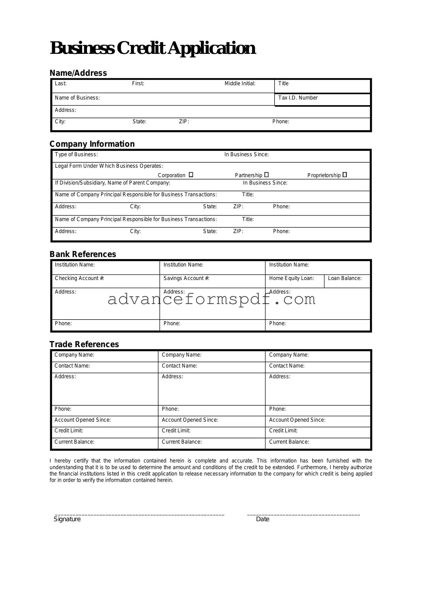 Download Business Credit Application Form in PDF