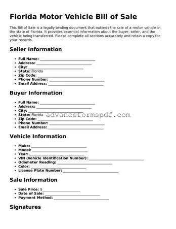 Valid Motor Vehicle Bill of Sale Form for the State of Florida
