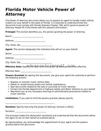 Valid Motor Vehicle Power of Attorney Form for the State of Florida
