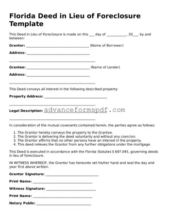 Valid Deed in Lieu of Foreclosure Form for the State of Florida